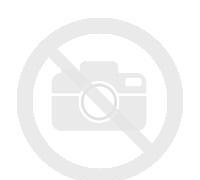 ROOBAR Datlová tyčinka s chia a kokosem 30g BIO/RAW